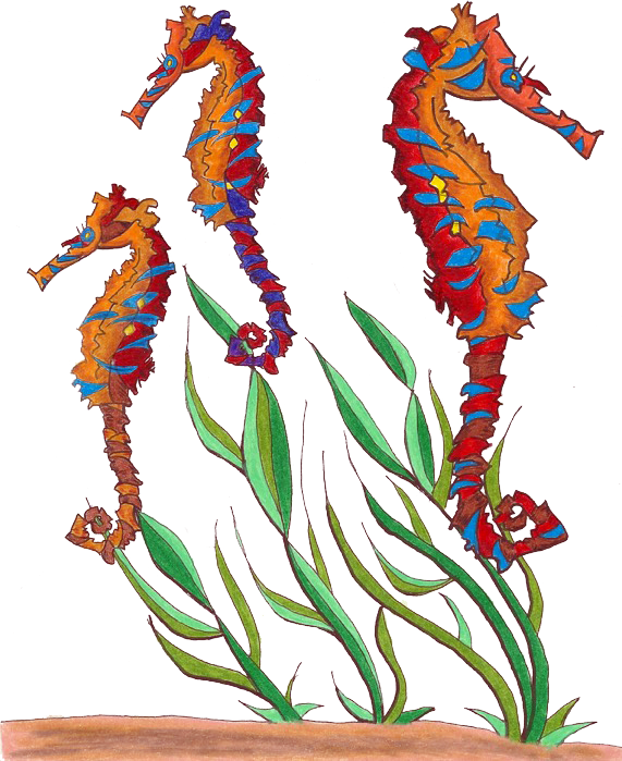 Three Seahorses - Color Pencil by Greg Morrow - Fish Out of Water